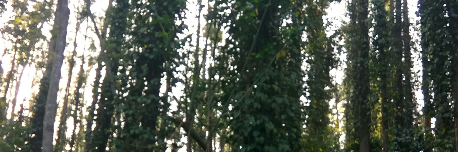 Udayi_5's profile banner image