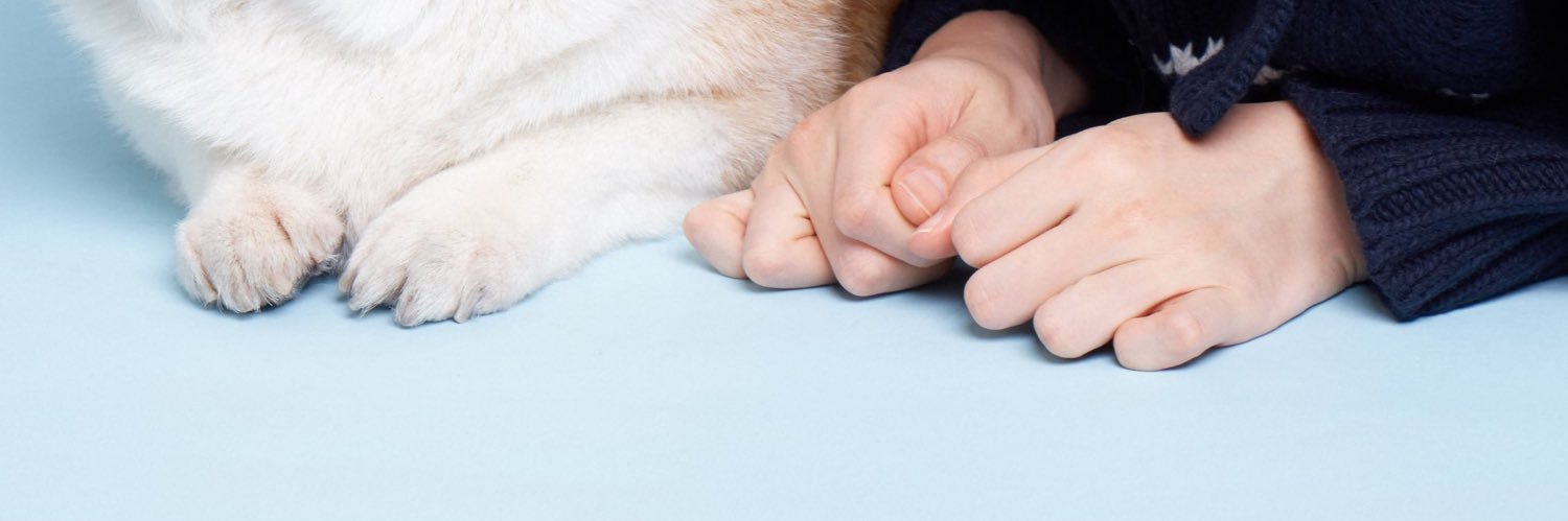 ⊹ 𝐒𝐭𝐞𝐥𝐥𝐚’𝐬 𝐑𝐨𝐬𝐞 🍒 banner