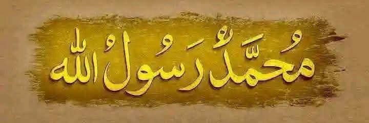حافظ حامد احمد banner