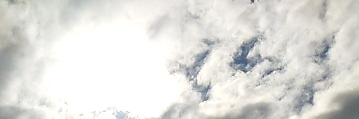 🐼 banner