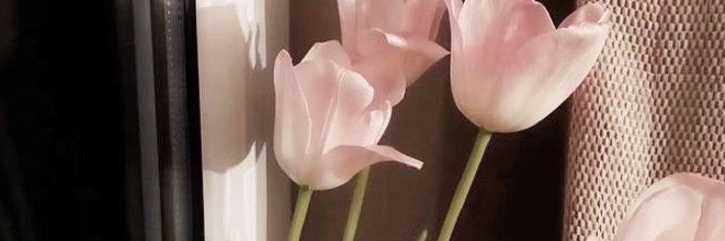 framesMAYAY's profile banner image