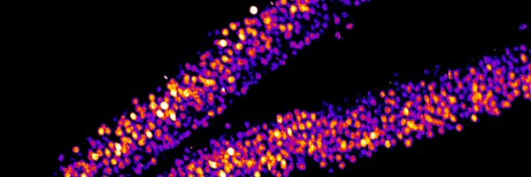 neuronblaze Profile Banner