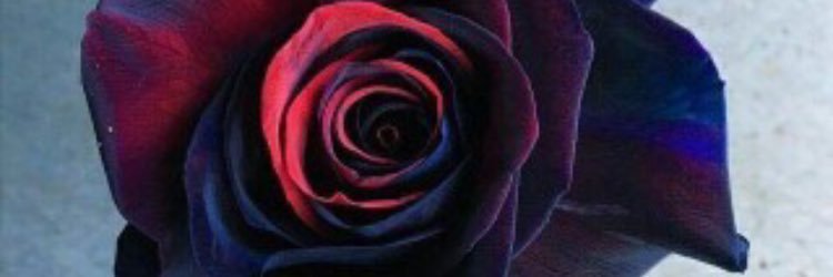 Itoro__'s profile banner image