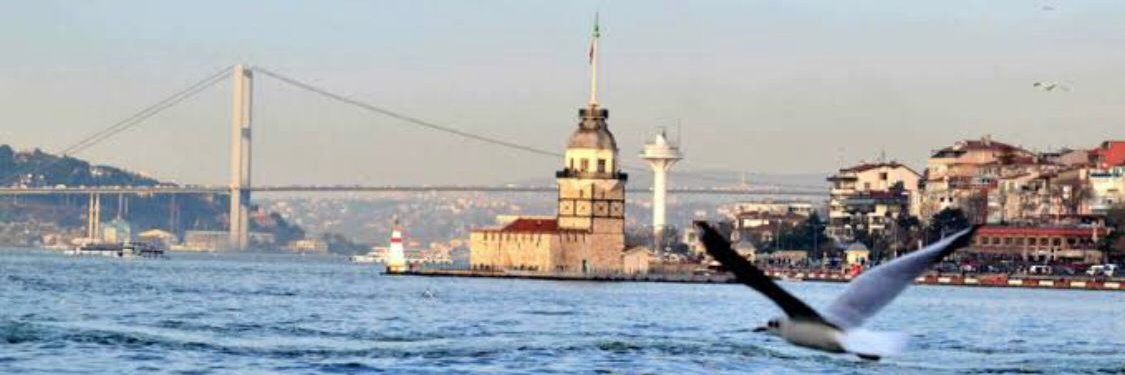 Ruhsar Pekcan banner