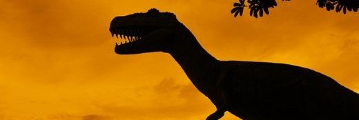 SpikeAndScales's profile banner image