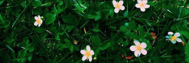 _Anika_19's profile banner image