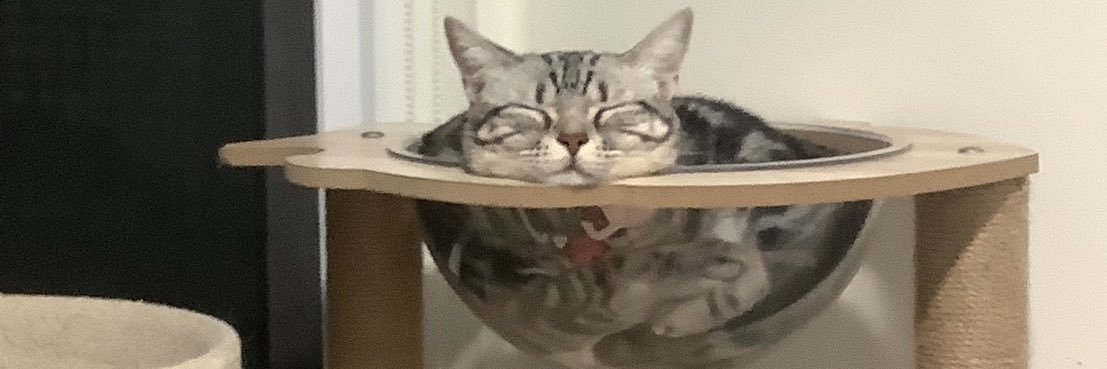meilimooay's profile banner image
