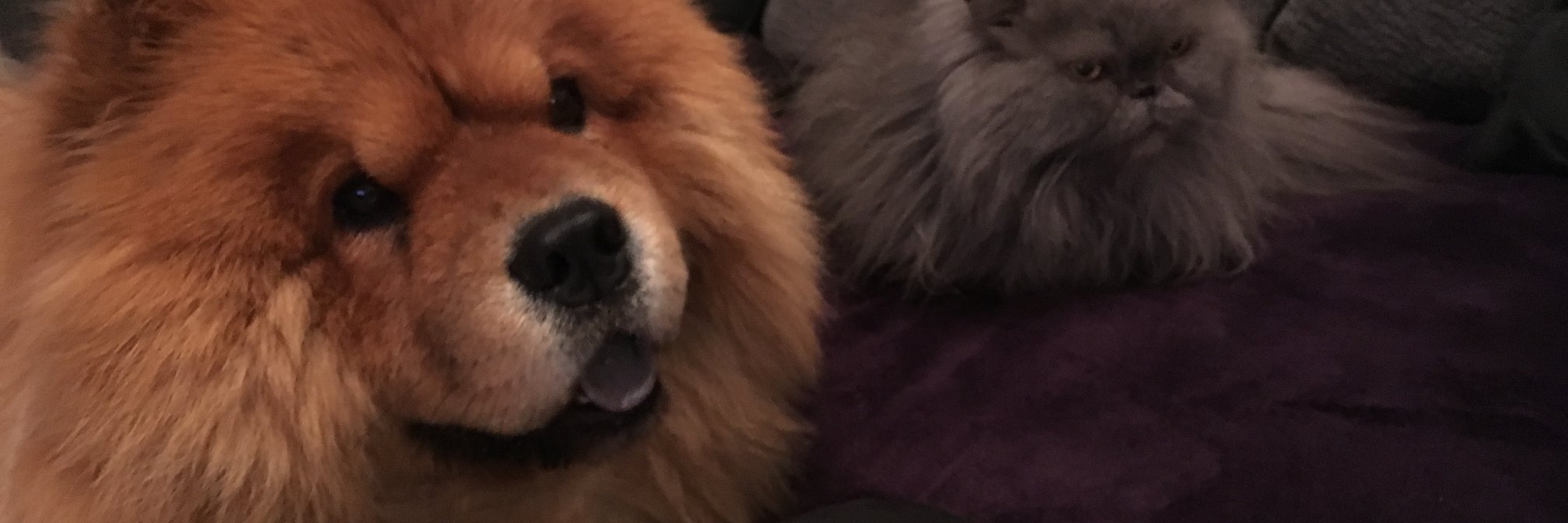 ScottBASFUK's profile banner image