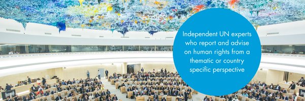 UN_SPExperts Profile Banner