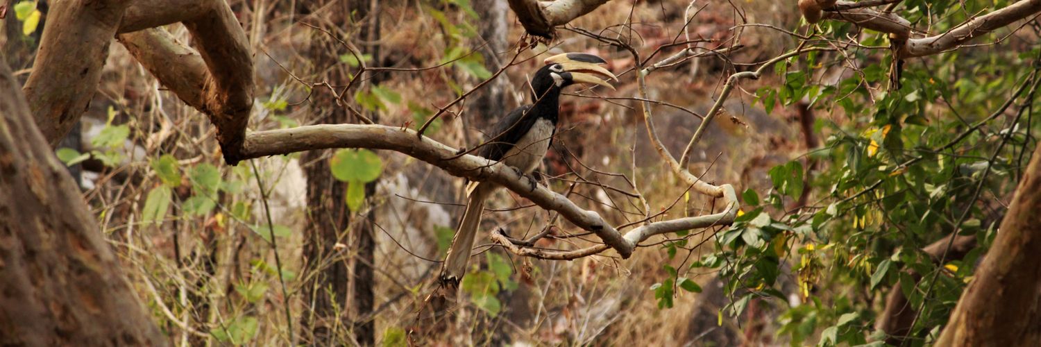 Rajat Rastogi banner