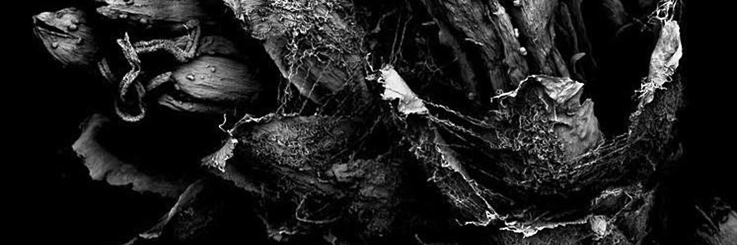 SU banner