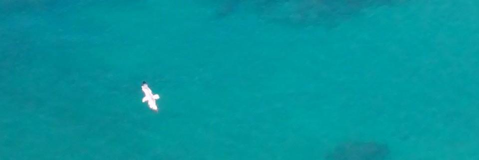 Mariana_'s profile banner image