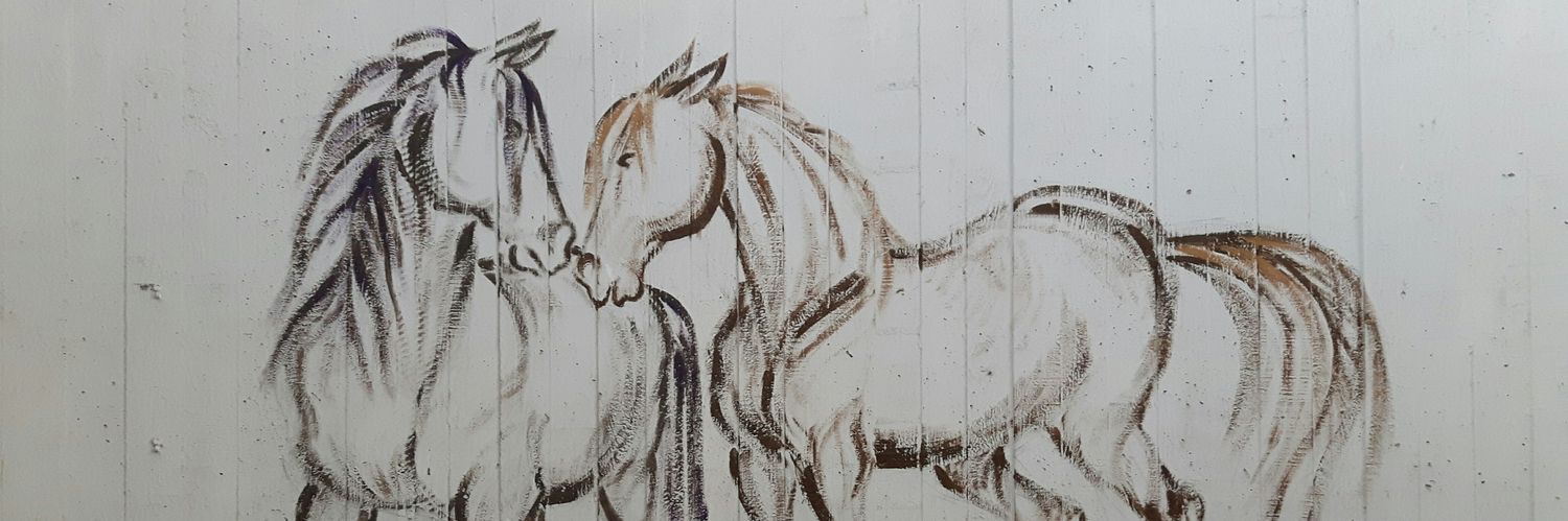 tarjanne's profile banner image
