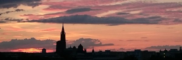 DavidLalaouna Profile Banner