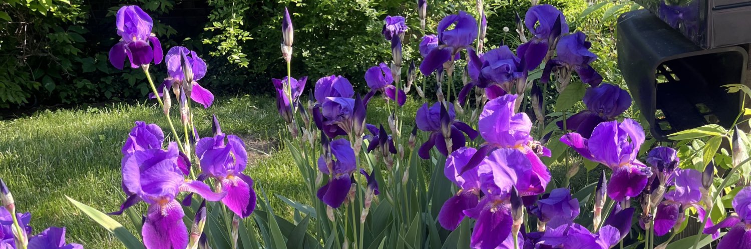 Roberta Witchger banner