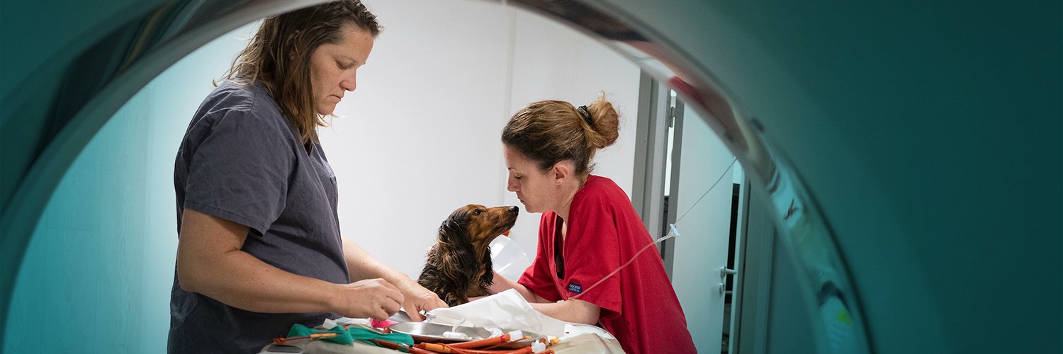 AnimalhealthEurope banner