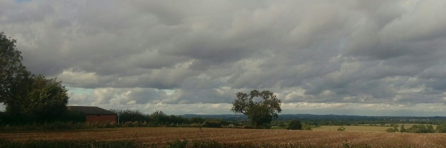 LogicalThinker banner