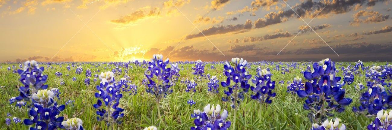 Erin Durst- 🇺🇲 History Pedagogue banner