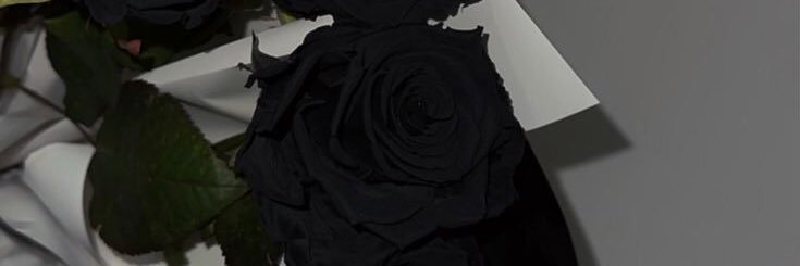 majestixk's profile banner image