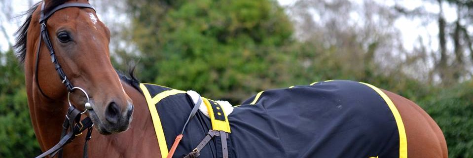 LEE CARTER RACING banner