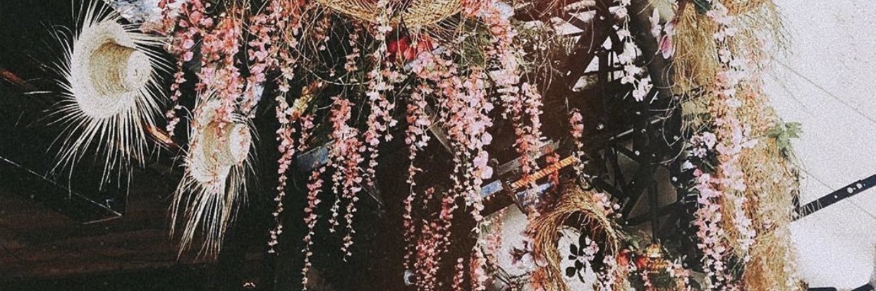 Dani Gabriele banner