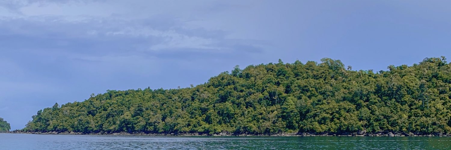 putriaiya's profile banner image