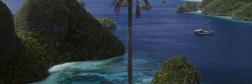 Daniel_thomas07's profile banner image