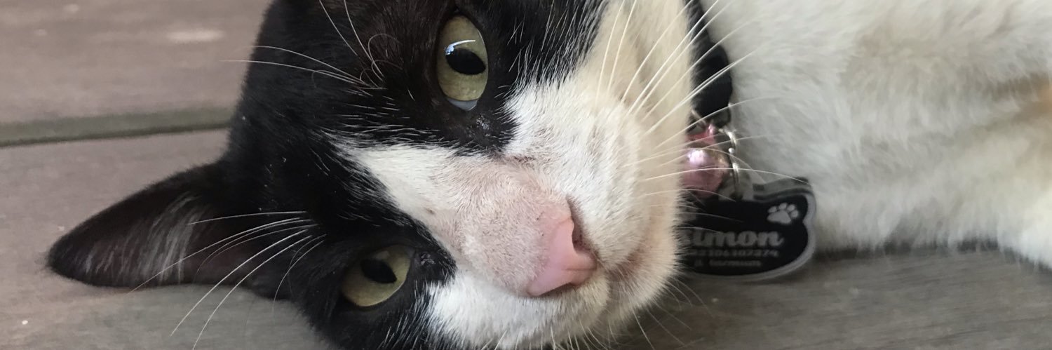 Debipermataa's profile banner image