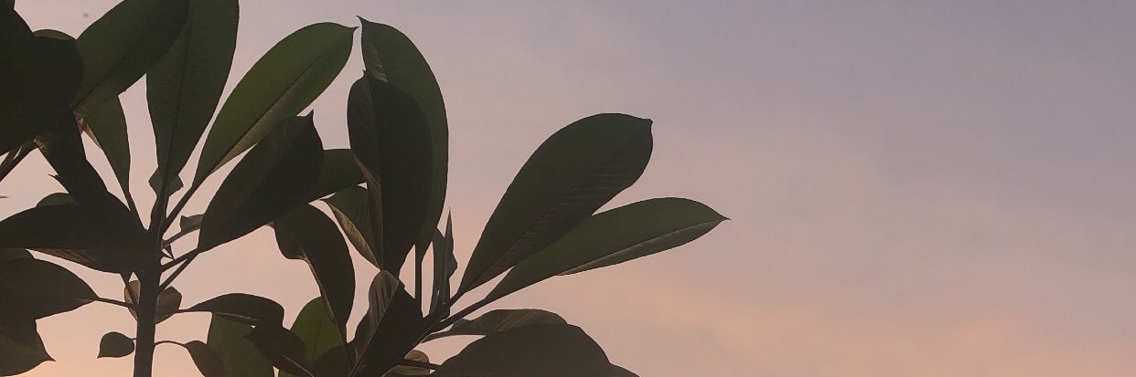 iborahaebts15's profile banner image