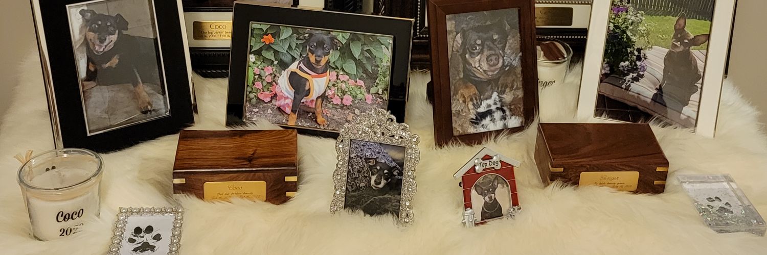 CocoGingerNFTs's profile banner image