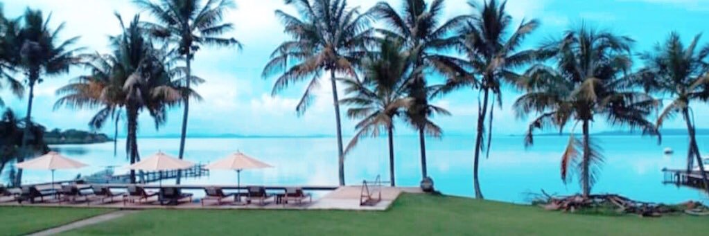 MsTarmarley's profile banner image