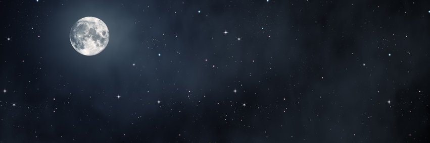 mutatingbrains's profile banner image