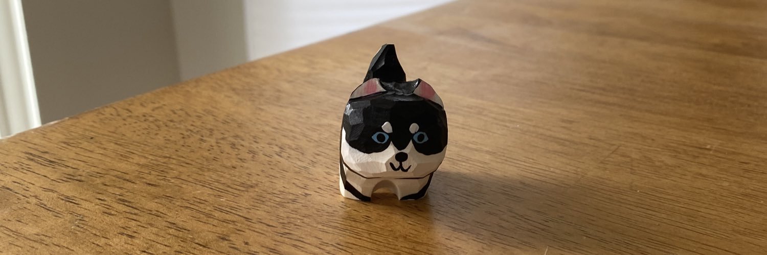 Miss Gato banner
