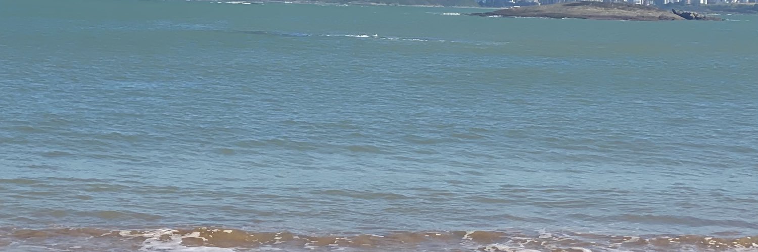 OhSumida's profile banner image