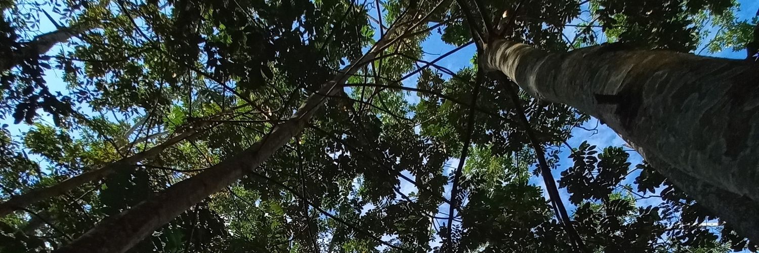 Bren 🦖 banner