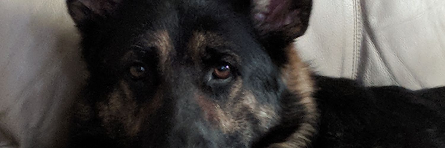 Rothgar5's profile banner image