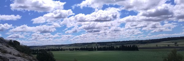 nicoename Profile Banner