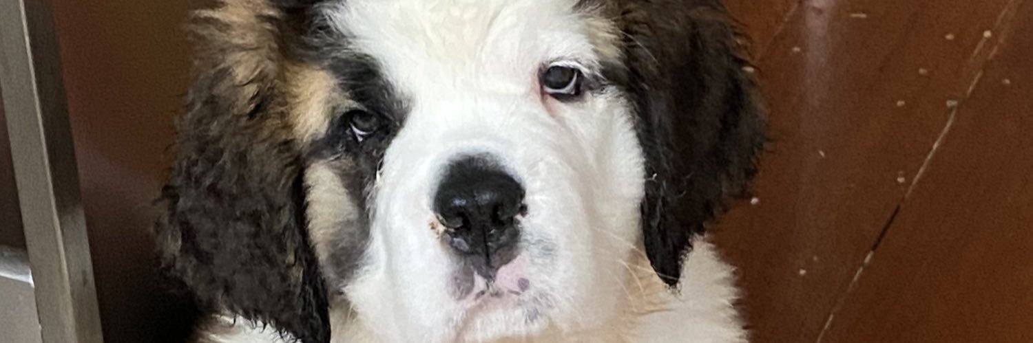 ScooterR1975's profile banner image