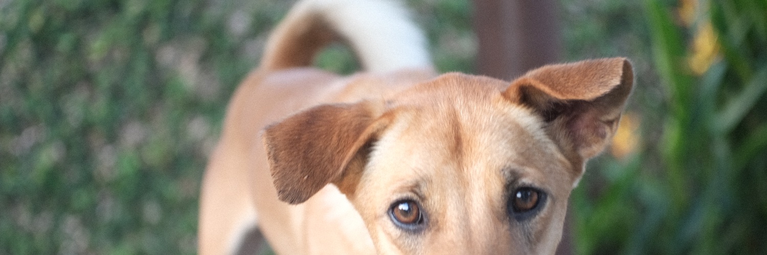 madebysania's profile banner image