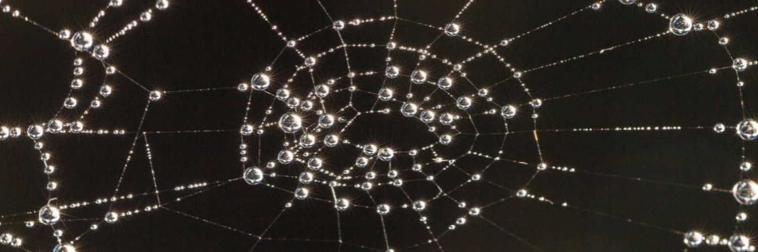 Cntxpln's profile banner image