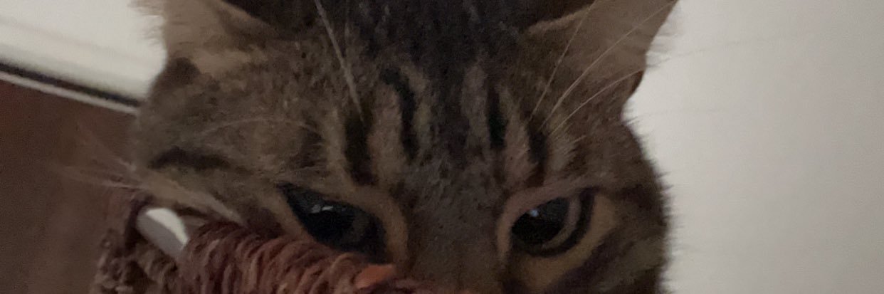 nvkcass's profile banner image