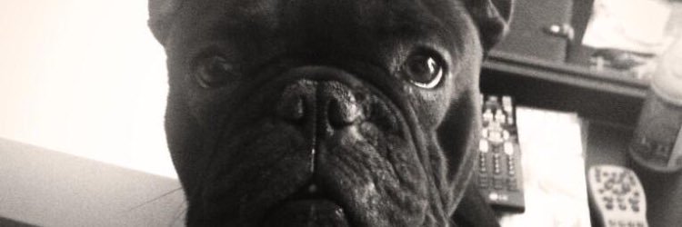 aranxa_pg's profile banner image