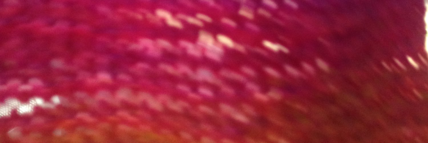 lynnfrancis's profile banner image