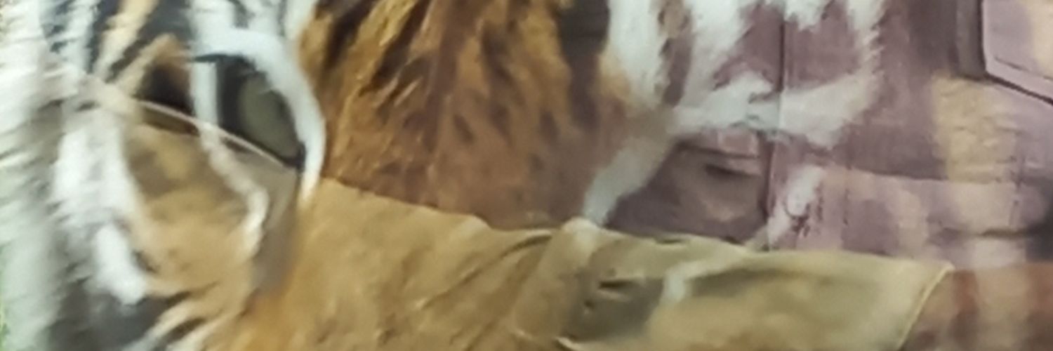 AssyifaMgfr's profile banner image