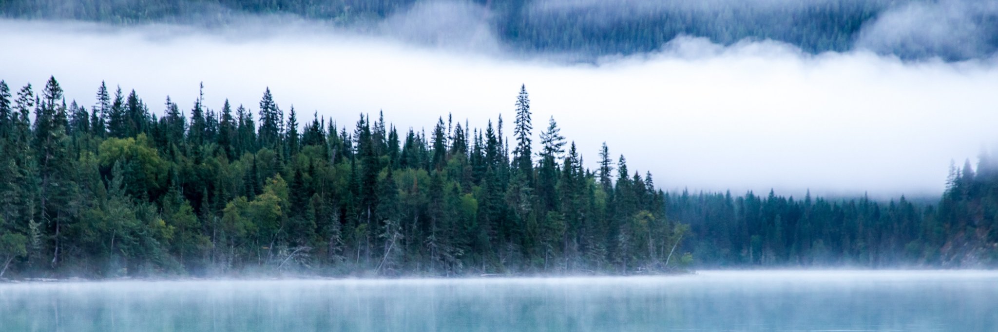 TroyMc's profile banner image