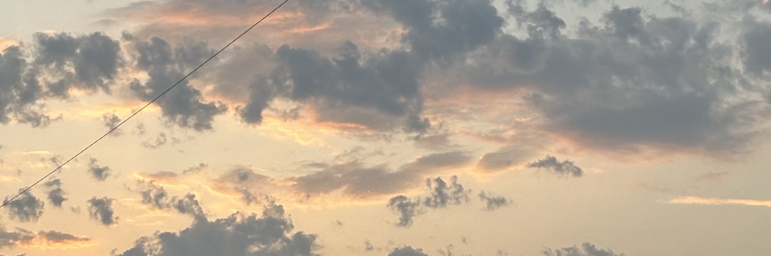 ashleighholder's profile banner image
