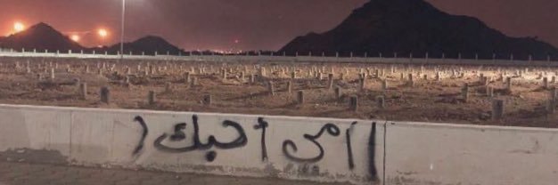 alshammri223's profile banner image