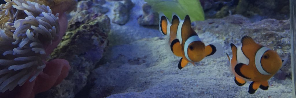 tam0299's profile banner image