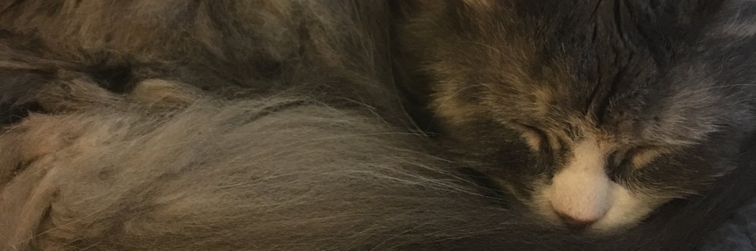 sheachappel's profile banner image
