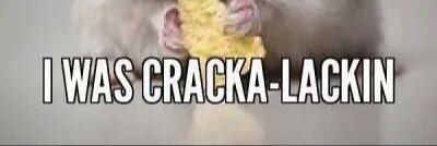 cedrick_just's profile banner image